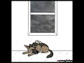 Brutus Has PTSD of His Past | Pixie and Brutus Comic by Pet_foolery #comicdub