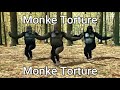 Monke torture!