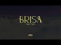 Paul Thin - Brisa (Lyric Video Oficial)