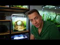 The Dragonstone Cave: NEW Nano Setup For Rice Fish & Shrimp! Aquascape Tutorial