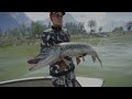 QUADRUPLE Diamond TIGER MUSKIE - Hottest of the Known Hotspots - Call of the Wild theAngler