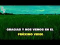 Escucha Esta  REFLEXION Y NO te QUEDES como EL PERRO de los dos HUESOS | FLEXION GRATITUD MOTIVACION