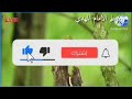 استعدادات في السماء لتسليم الامانة للامام المهدي 1/11/2024