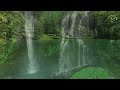 Soothing music for nerves🌿 healing music for the heart and blood vessels relaxation