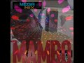 DANCE MUSIC NON-STOP 1994 BY DJ-MAMBO 2O24