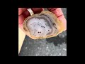 Queensland Agate and South Texas agate. What’s inside? Let’s find out.