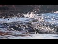 Nature Sounds – Splashing Waves on the Coast