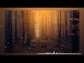 Rhumba melody, Soft music for relaxation and beautify your soul, Positive instrumental music 2024