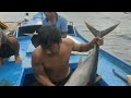 mancing tuna di rumpon - ini hasil nelayan tuna di rumpon selama 2 hari