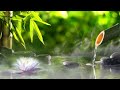 Soothing Relaxation Music, Relaxing Piano Music, Sleep Music, Water Sounds, Relax Music, Meditation.