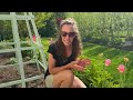 HUGE Winter Sowing Seedling Update! Planting My Sweet Peas And Sowing Warm Weather Seeds!