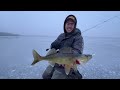 ICE FISHING for Shallow Walleye & Perch (My Favorite)