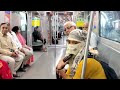 Flute X Guitar Deadly Mashup Song's In Metro | Metro🚇Singing Wait For End 😍| #trending #prankvideo