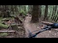Pamplemousse Trail - Squamish