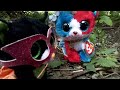 firecracker and jinxy explore the forest!!!