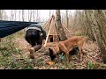 Building a Hunter Hut with a Fireplace - Bushcraft Shelter from Wood and Clay (Part:1)