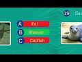 Guess 20 Animals in 10 seconds🦁🐌🐬|Animal Quiz