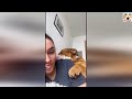 New Funny Animals 2024 🤣 Funniest Cats and Dogs 😻🐶 Part