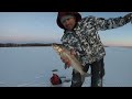 How to Ice fishing Whitefish Sylvan Lake Alberta