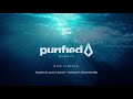 Nora En Pure - Purified Radio Episode 251