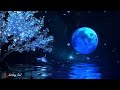 Music To Sleep Deeply In Less Than 5 Minutes• Relaxing Music To Sleep[DEEP SLEEP]