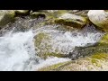 Cold Water Flow | Meditation | Mindfulness