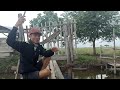 mancing ikan betik || yang banyak makan malah ikan wader || asik ajalah