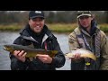 White River Browns - A Ketch Outdoors Experience