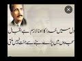 Allama Iqbal poetry ❣️