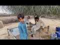 Desert Woman morning rotating | Traditional Village Life in Desert