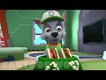 Paw Patrol 2024 | Growing up - Life After Happy Ending | Cartoon wow