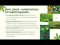 Mastering Companion Planting in Your Garden