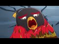 Angry Birds Toons Compilation | Season 2 All Episodes Compilation - Special Mashup