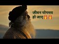 बस ऐसे सांस ले #sadguru #sadguruhindi #sadgurujaggivasudev #meditation #geetagyan #vedicgyan