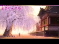 《名探偵コナン：迷宮的十字路》主題曲(中日字幕)：倉木麻衣 Time after time ～花舞う街で～