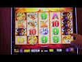 WINNING JACKPOT On Buffalo Gold Slot Machine