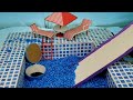 Pool Maze For Hamster|Hamster Escapes The Amazing Maze|Funny Pets