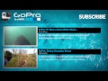GoPro: Hammerhead Fin Cam in 4K