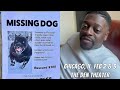Shuler King - Don’t Look For This Dog