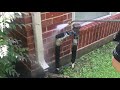 Brick Pressure Washing