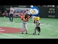 ジャビットとトラッキーの絡みが微笑ましい【8/8 対タイガース戦】