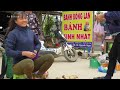 Harvesting Radish Goes To Market Sell - Sugarcane gardens were destroyed | Tiểu Vân Daily Life