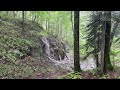 Preview ASMR Relaxing Forest Rain with Waterfall