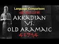 Akkadian vs. Old Aramaic - A Comparison of Semitic Languages Using the Tell Fekheriyeh Inscription