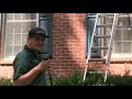 Bat Exclusion -Start to Finish - Nuisance Wildlife Control - Stevens Family Outdoors