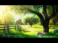 Soothing Sounds for Serenity Relaxing Music to Alleviate Stress, Anxiety, and Depression
