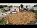 Features Landfill in Flooded Local!! Dozer SHANTUI & Dump truck Unloading Soil into lake fill land