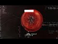 Understand and escape warp disruption bubbles easily | EVE Online