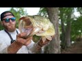 Rescuing BIG BASS from Dried Up Pond (Fish Rescue)