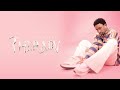 Jay melody_ Diamond (Official video lyrics)